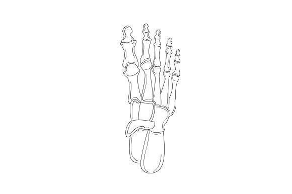 Skeletal Foot Crafts and Medical Design